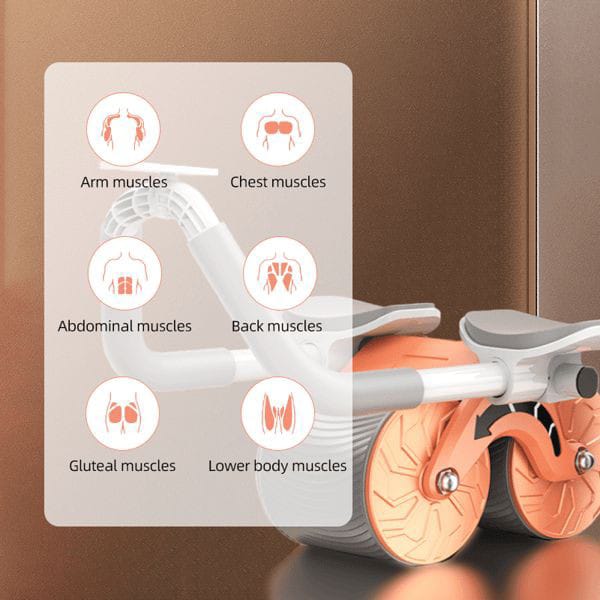 FITNESS ROLLER                  (   DELIVERY SAME DAY) My Store